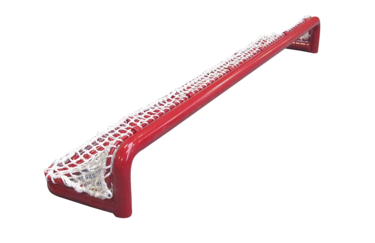 Pondhockey-Tor 1 Pondhockey-Tor