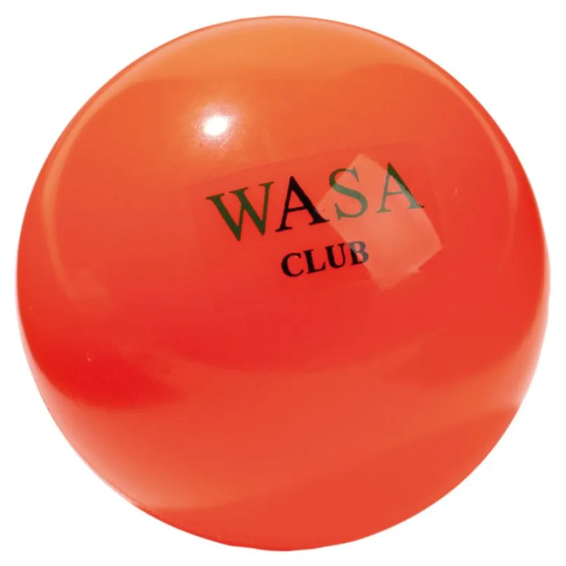 Hockeyball ALLROUND 2 Hockeyball ALLROUND – Bild 2