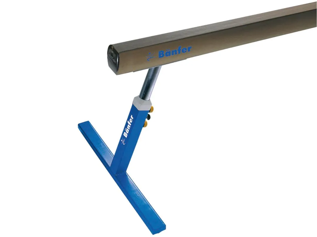 Bänfer® Schwebebalken Exklusiv Microswing 1 Bänfer® Schwebebalken Exklusiv Microswing