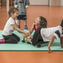 AIREX® Gymnastikmatte Diana -DE Teamsport Verkäufe G3802 B02 ecommerce