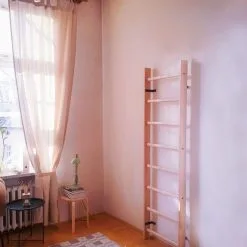 BenchK® Sprossenwand 100 10 BenchK® Sprossenwand 100 -DE Teamsport Verkäufe K2350 A03 ecommerce