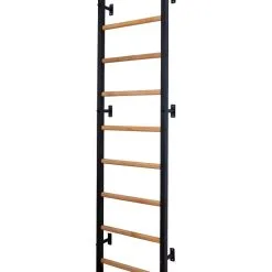 BenchK® Sprossenwand 700