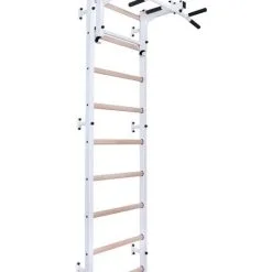 BenchK® Sprossenwand 731W Mit Klimmzugstange