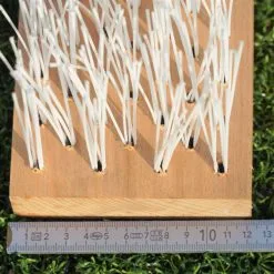 Polytan® Bürstenleiste Für ACS 120 Pflegegerät -DE Teamsport Verkäufe P5023 A02 ecommerce