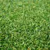 Polytan® Kunstrasen LigaGRASS® Synergy