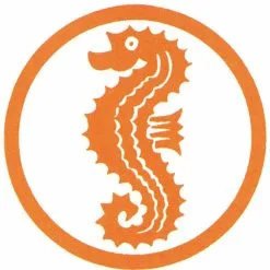 Schwimmabzeichen Frühschwimmer (Seepferdchen)