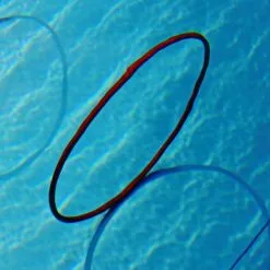 Tanga Sports® Tauchreifen